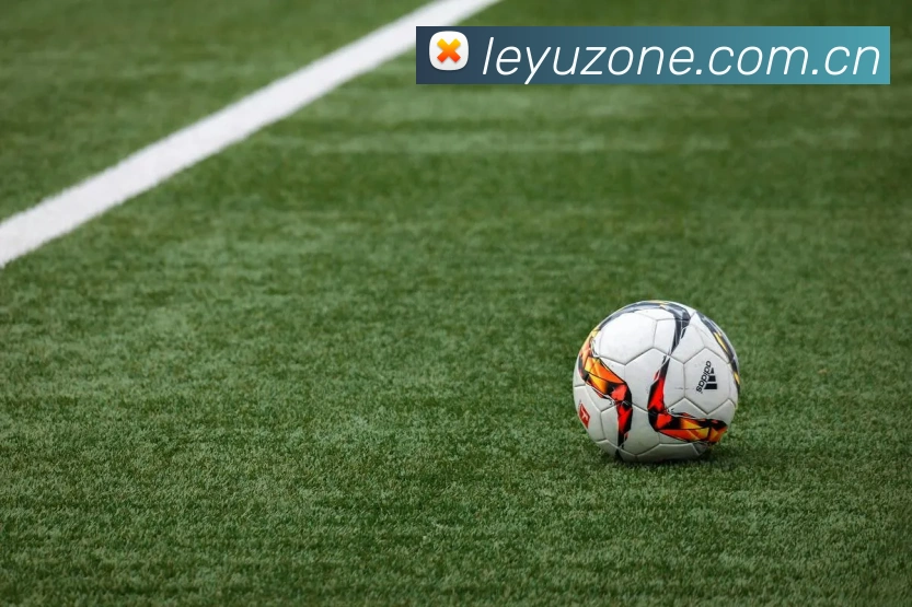 乐鱼体育APP 封面图